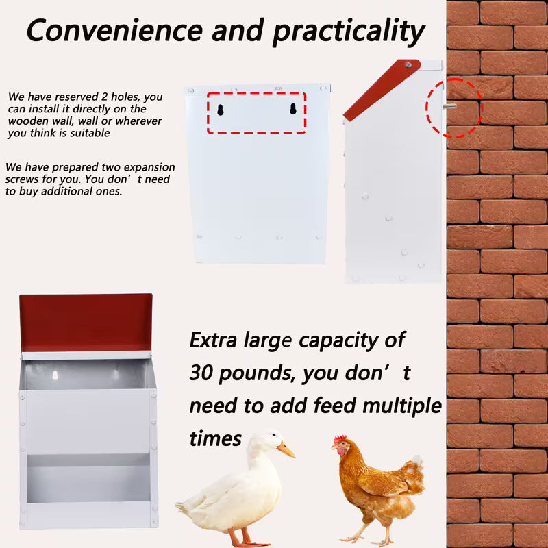 Automatic Wall-Mounted Chicken Feeder – Galvanized & Weatherproof