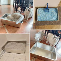 2-Pack XL Stainless Steel Cat Litter Boxes – 6" Deep, Easy-Clean High-Side Design