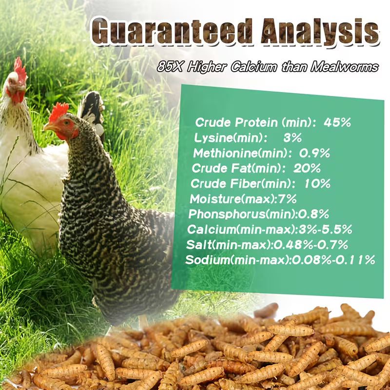 Dried Black Soldier Fly Larvae – High-Protein, Calcium-Rich Pet Treat